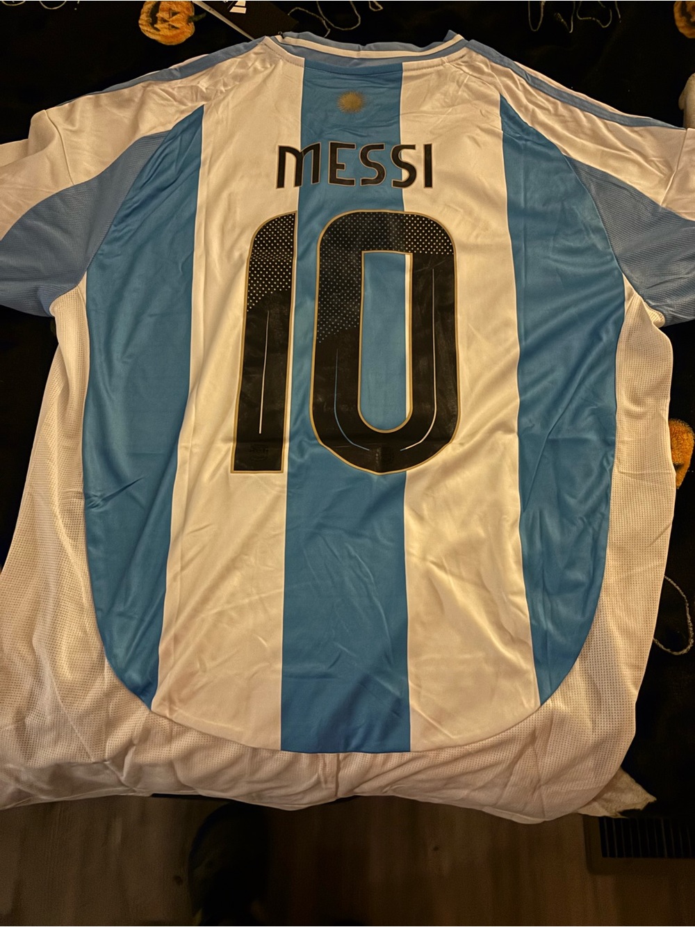 adidas Argentina Sky Blue & White Soccer Jersey with #10